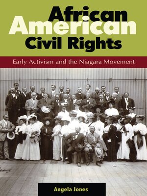 cover image of African American Civil Rights